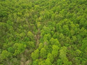 Property photo for land for sale in Ozark County Missouri