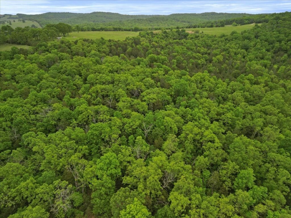 Property photo for land for sale in Ozark County Missouri