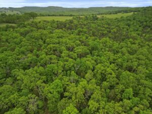 Property photo for land for sale in Ozark County Missouri