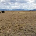 Property photo for land for sale in Torrance County New Mexico