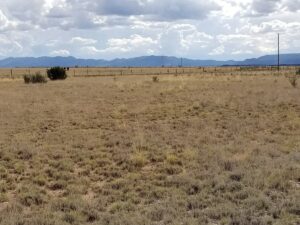 Property photo for land for sale in Torrance County New Mexico