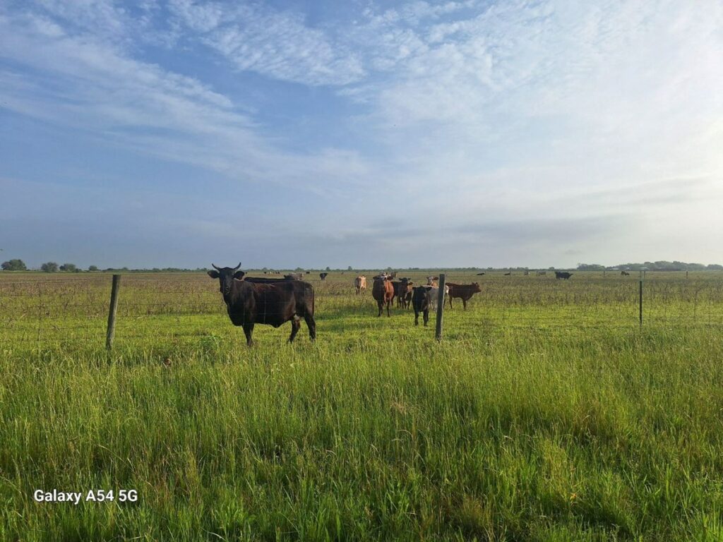 Property photo for land for sale in Chambers County Texas