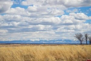 Property photo for land for sale in Montezuma County Colorado