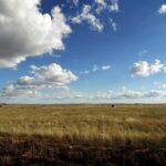 Property photo for land for sale in Torrance County New Mexico