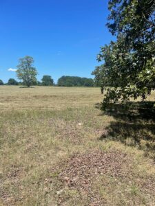 Property photo for land for sale in Atoka County Oklahoma