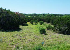 Property photo for land for sale in Bandera County Texas