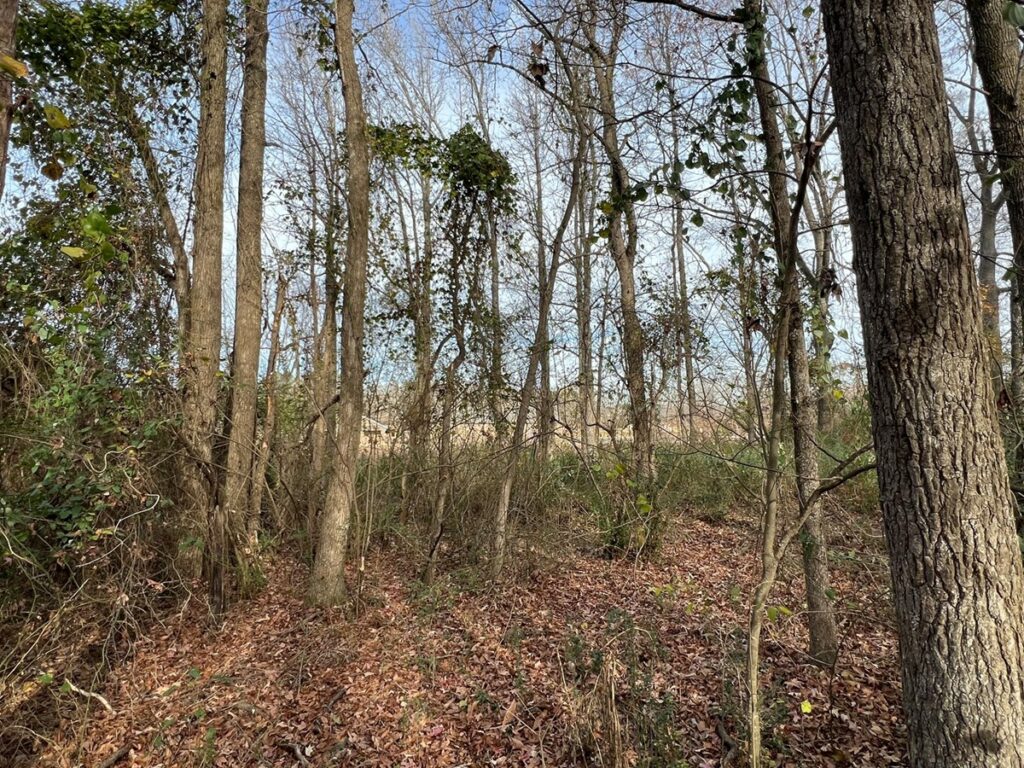 Property photo for land for sale in White County Arkansas