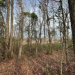 Property photo for land for sale in White County Arkansas