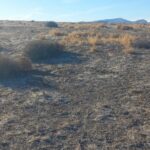 Property photo for land for sale in Pershing County Nevada