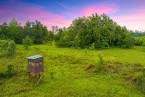 Property photo for land for sale in Columbia County Florida