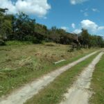 Property photo for land for sale in  County Panama