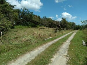 Property photo for land for sale in  County Panama