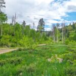 Property photo for land for sale in Montezuma County Colorado