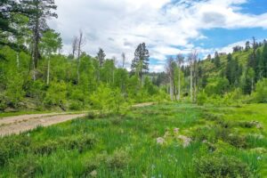 Property photo for land for sale in Montezuma County Colorado