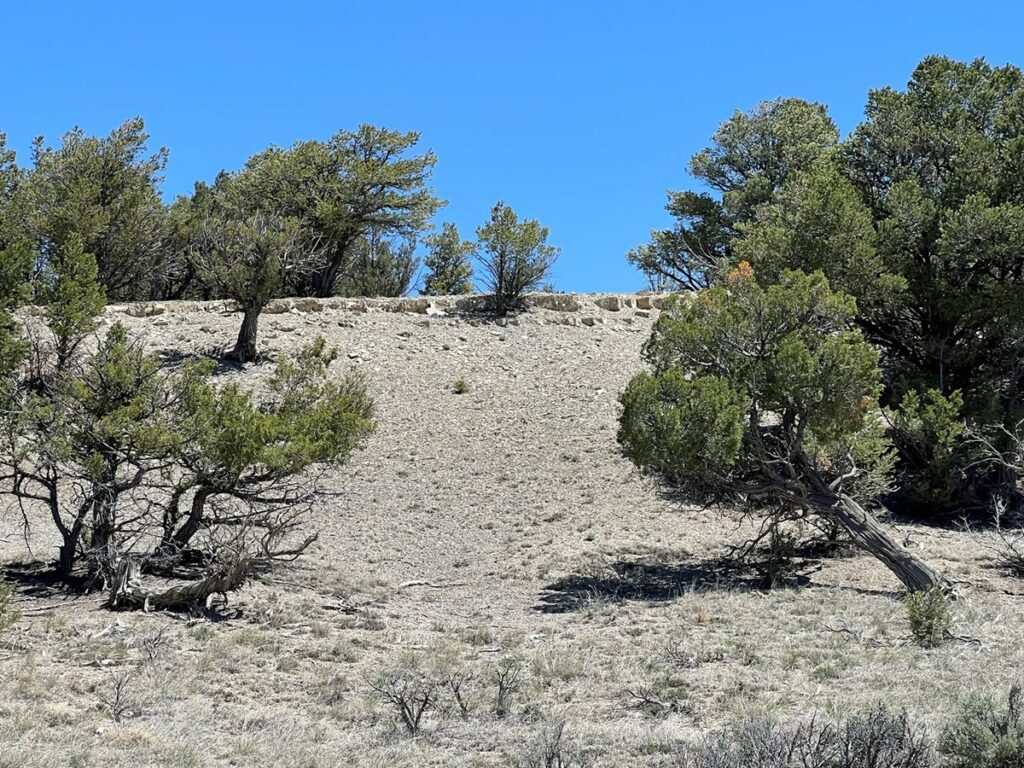 Property photo for land for sale in Rio Arriba County New Mexico