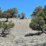 Property photo for land for sale in Rio Arriba County New Mexico