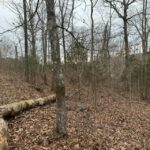 Property photo for land for sale in Greene County Tennessee