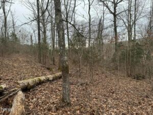 Property photo for land for sale in Greene County Tennessee