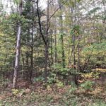 Property photo for land for sale in Broome County New York