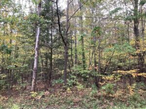 Property photo for land for sale in Broome County New York