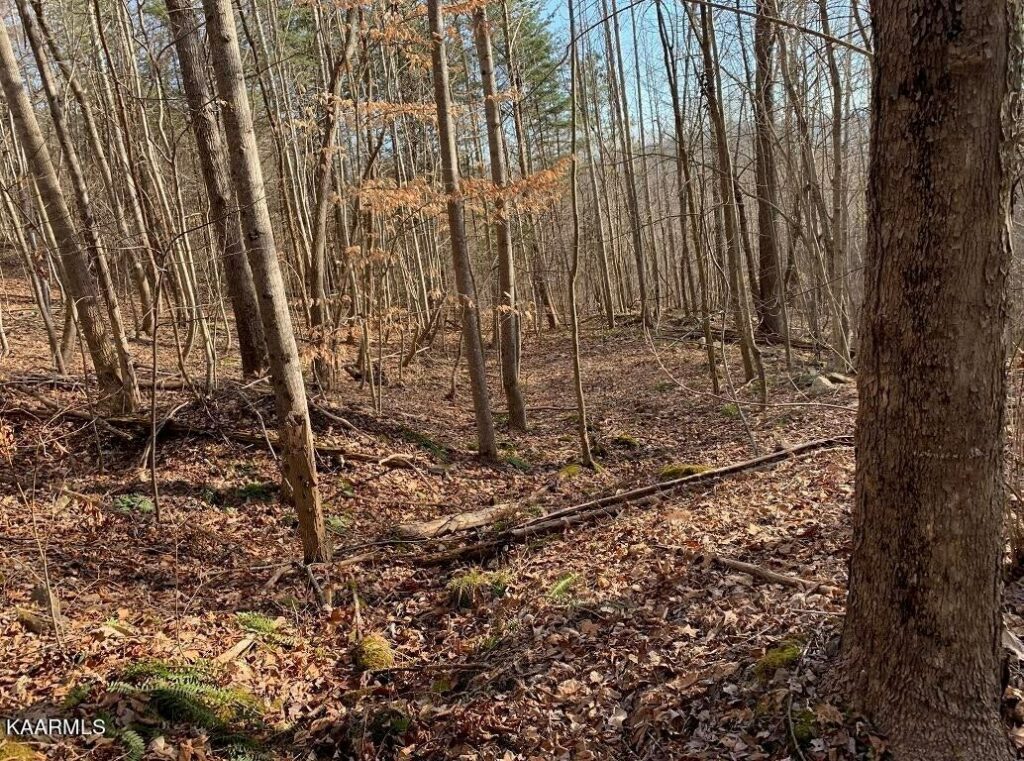 Property photo for land for sale in Claiborne County Tennessee