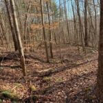 Property photo for land for sale in Claiborne County Tennessee