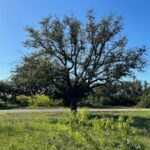 Property photo for land for sale in Brown County Texas