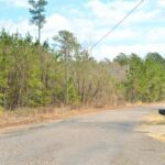 Property photo for land for sale in Pike County Mississippi