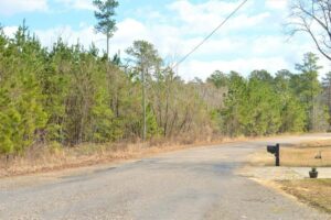 Property photo for land for sale in Pike County Mississippi