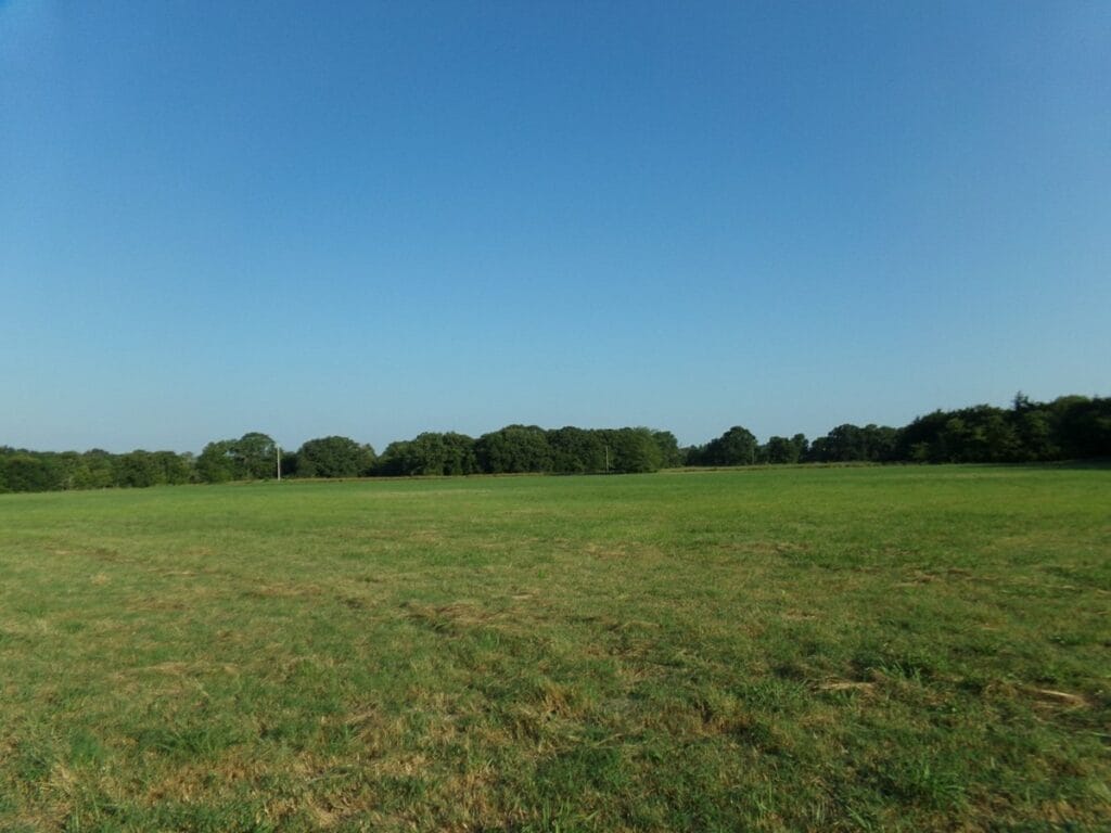 Property photo for land for sale in Red River County Texas