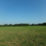 Property photo for land for sale in Red River County Texas