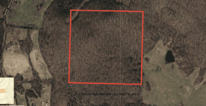 Property photo for land for sale in Searcy County Arkansas