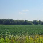 Property photo for land for sale in Waupaca County Wisconsin