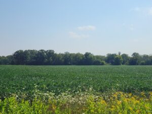 Property photo for land for sale in Waupaca County Wisconsin