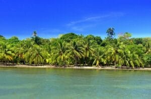 Property photo for land for sale in  County Panama