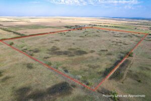 Property photo for land for sale in Hardeman County Texas