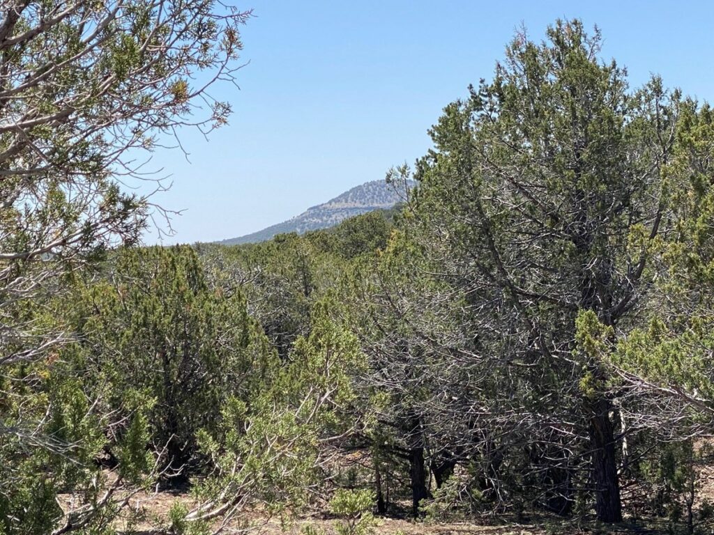 Property photo for land for sale in Coconino County Arizona