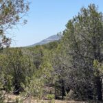 Property photo for land for sale in Coconino County Arizona