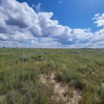 Property photo for land for sale in Torrance County New Mexico