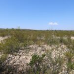 Property photo for land for sale in Cochise County Arizona