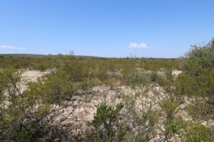 Property photo for land for sale in Cochise County Arizona