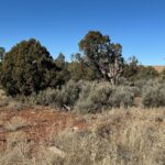 Property photo for land for sale in Montezuma County Colorado