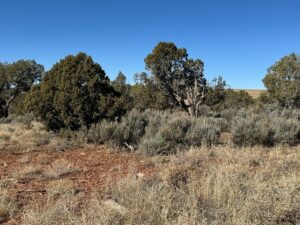 Property photo for land for sale in Montezuma County Colorado