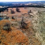 Property photo for land for sale in Ozark County Missouri