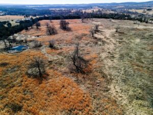 Property photo for land for sale in Ozark County Missouri