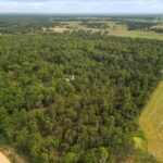 Property photo for land for sale in Ozark County Missouri