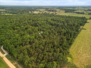 Property photo for land for sale in Ozark County Missouri