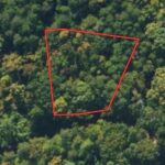 Property photo for land for sale in Mecklenburg County Virginia