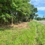 Property photo for land for sale in Morris County Texas