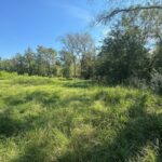 Property photo for land for sale in Cherokee County Texas